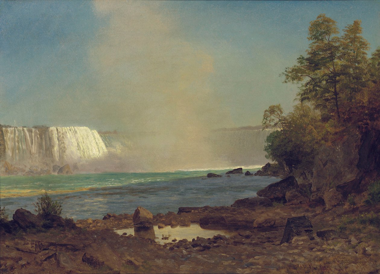 Wodospad Niagara, 1863 autorstwa Albert Bierstadt