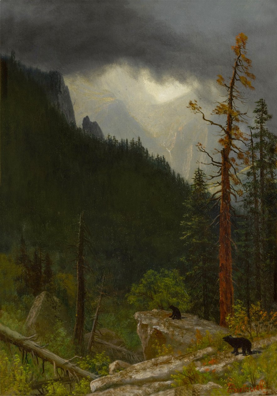 Góry Skaliste po burzy autorstwa Albert Bierstadt