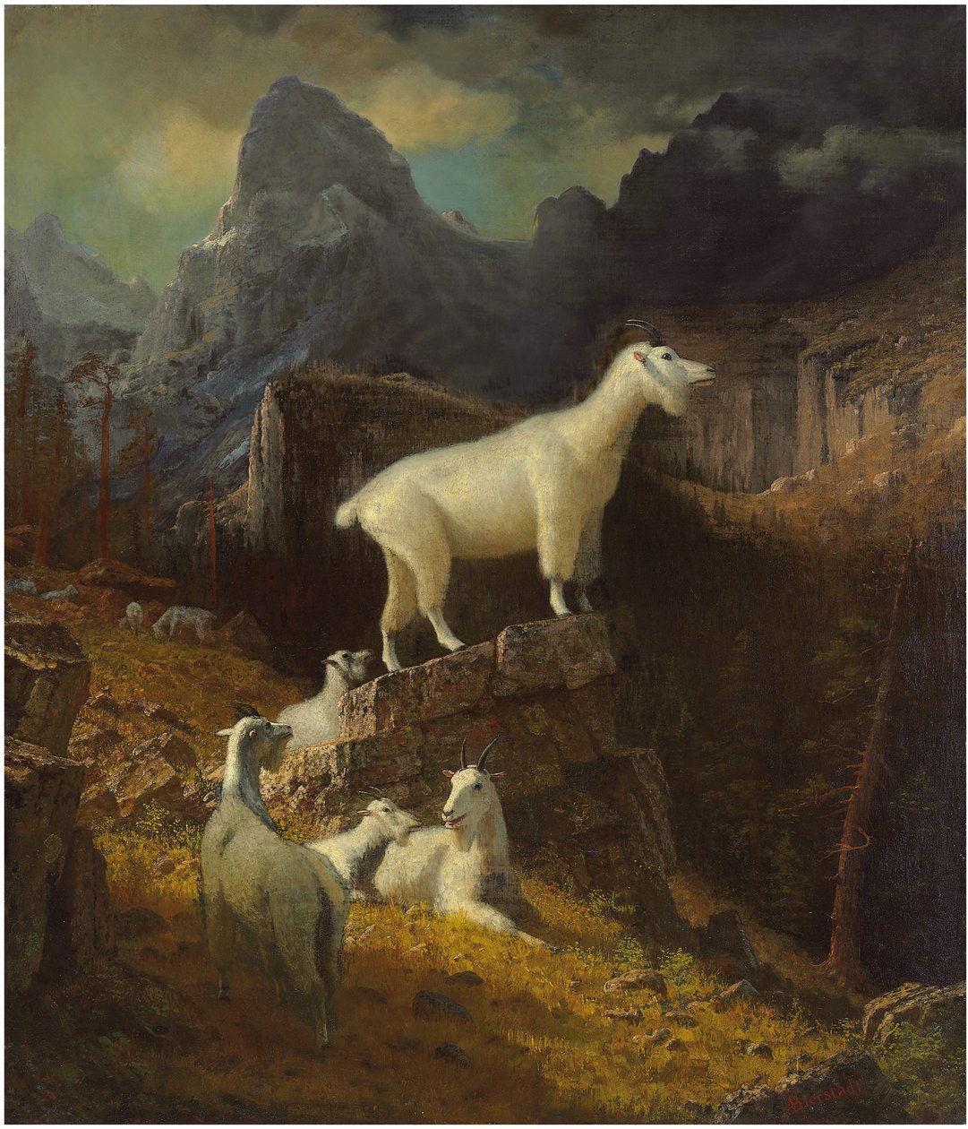 Kozy Gór Skalistych, ok.1885 (olej na płótnie) autorstwa Albert Bierstadt