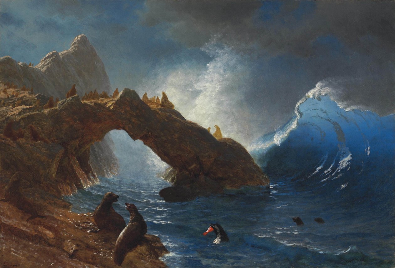 Foki na skałach autorstwa Albert Bierstadt