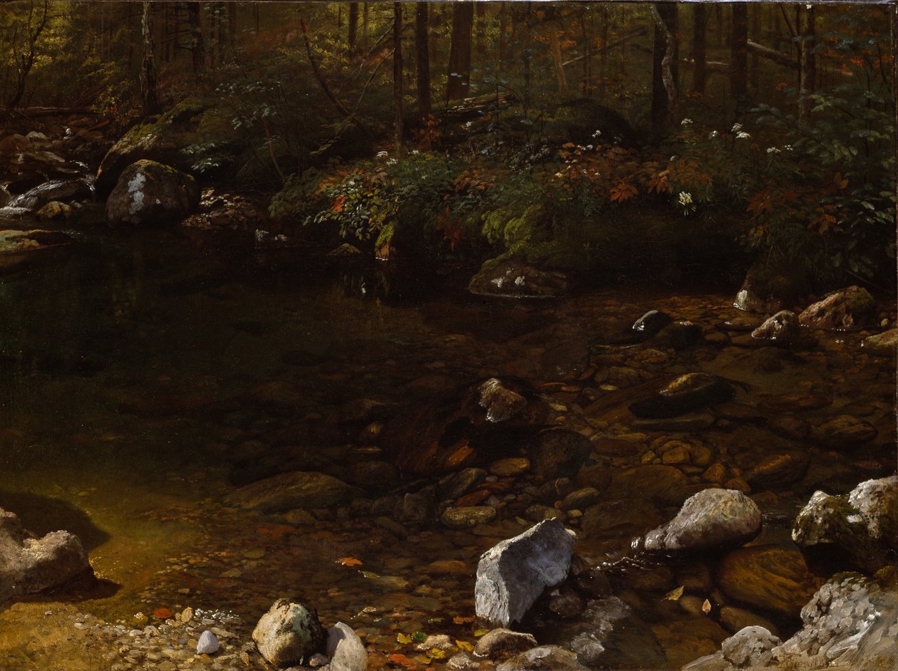 Zacieniony staw, White Mountains, New Hampshire autorstwa Albert Bierstadt