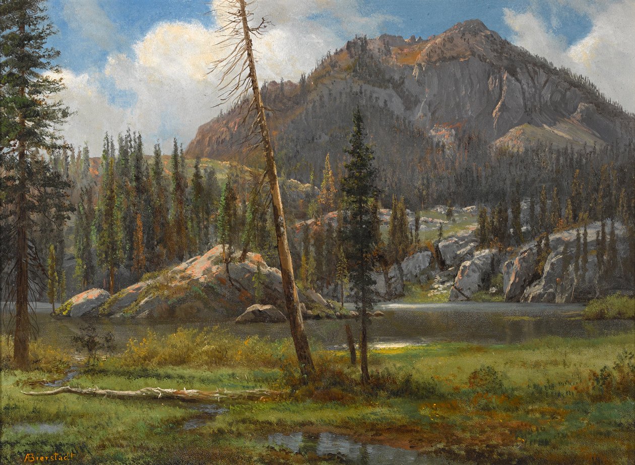 Południowe góry Sierra Nevada autorstwa Albert Bierstadt