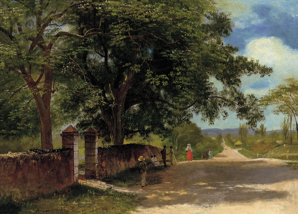 Ulica w Nassau autorstwa Albert Bierstadt