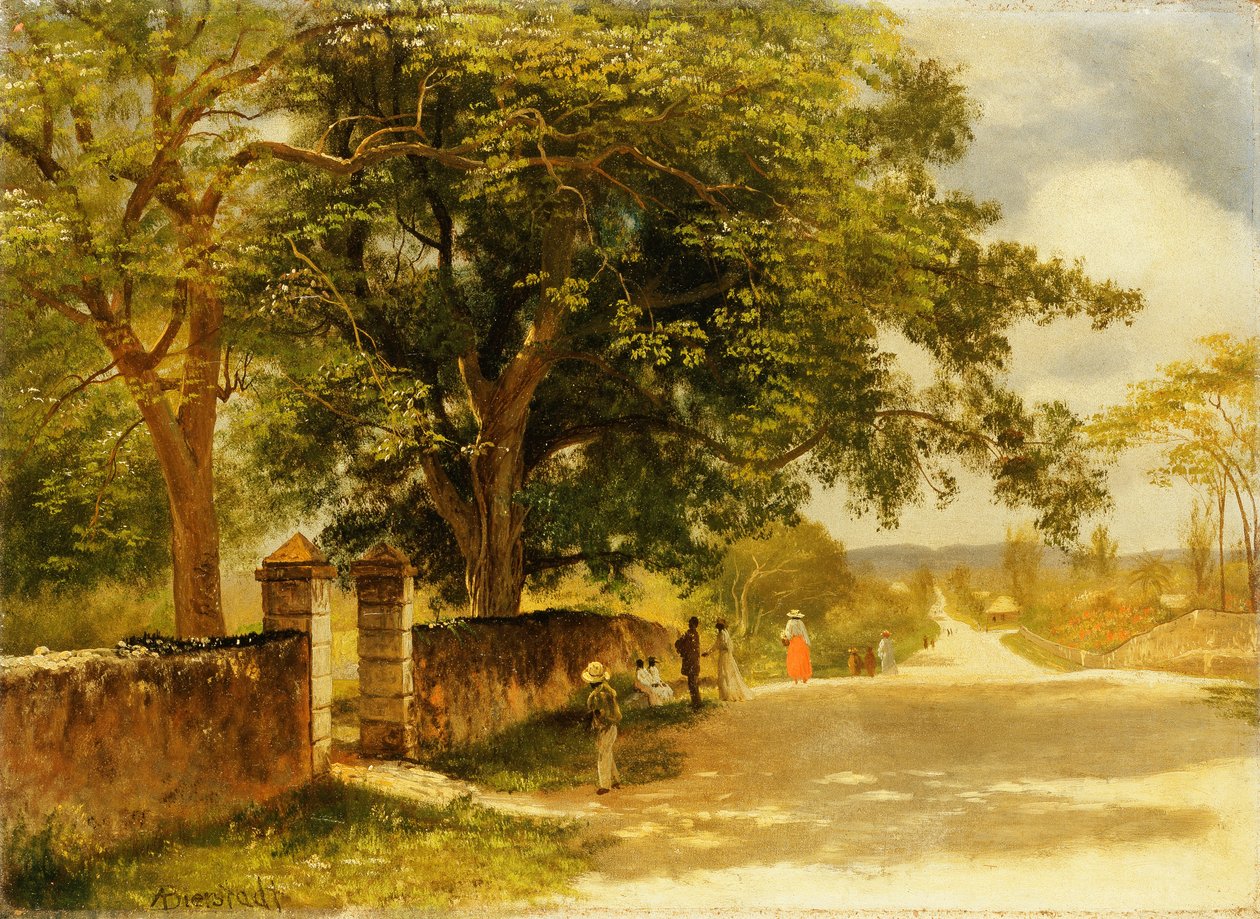 Ulica w Nassau, ok.1878 autorstwa Albert Bierstadt