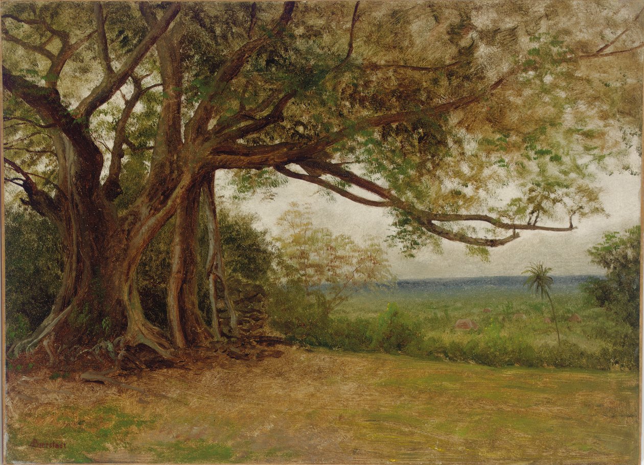 Studium do „Lądowania Kolumba”, 1892 autorstwa Albert Bierstadt