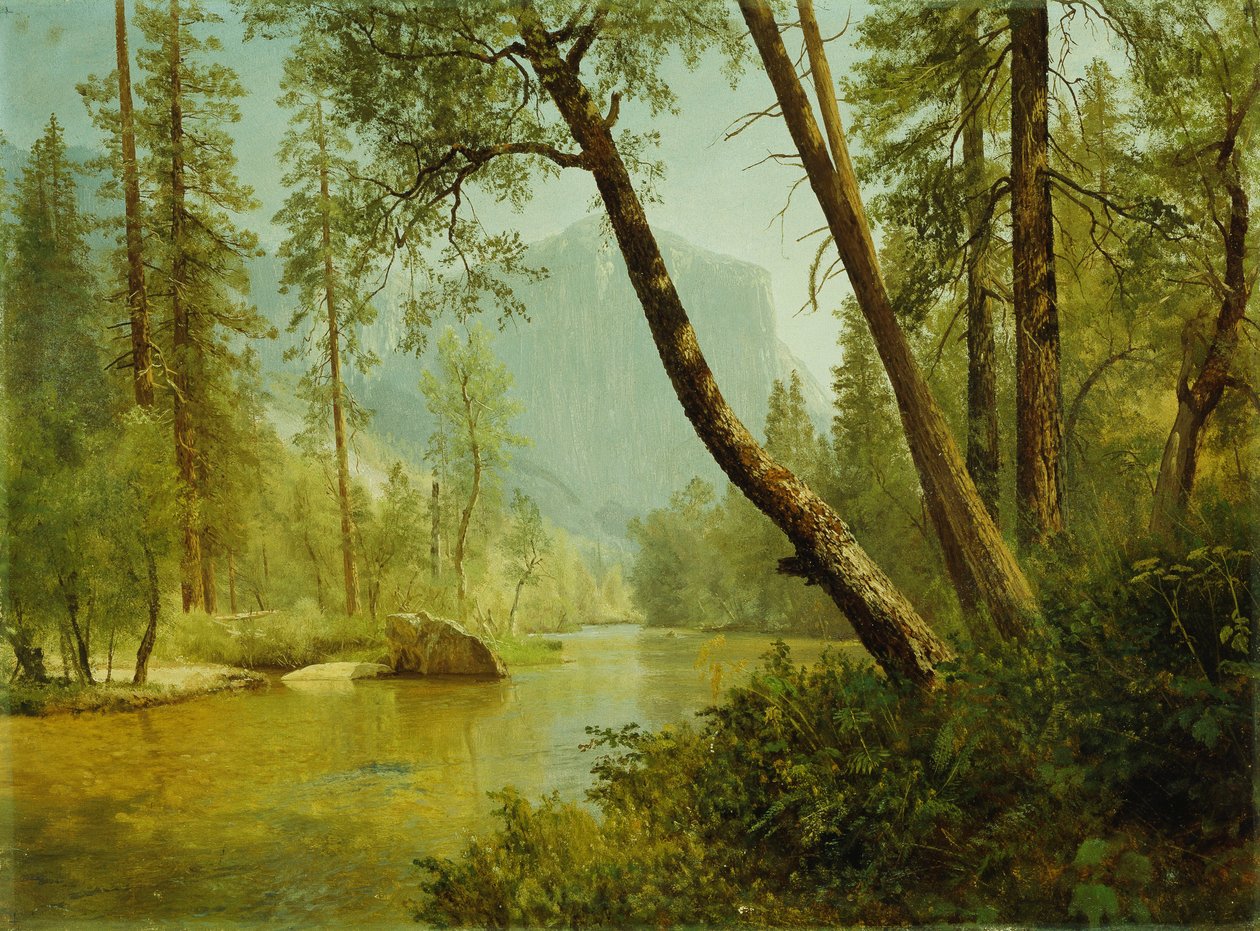 Las oświetlony słońcem autorstwa Albert Bierstadt