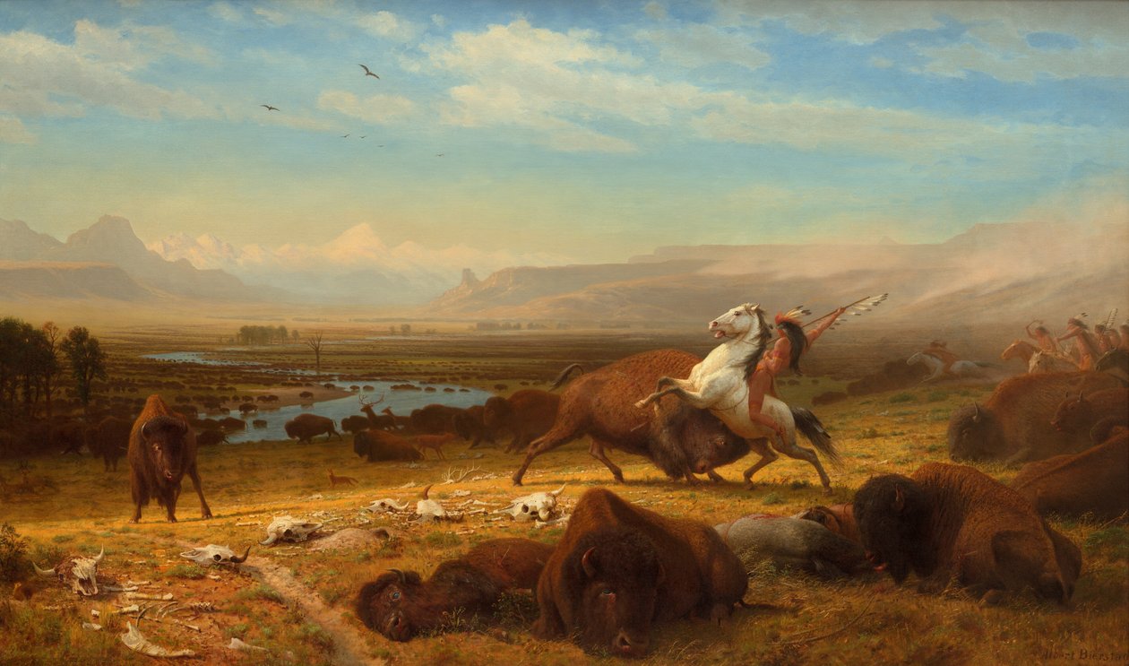 Ostatni z bizonów autorstwa Albert Bierstadt