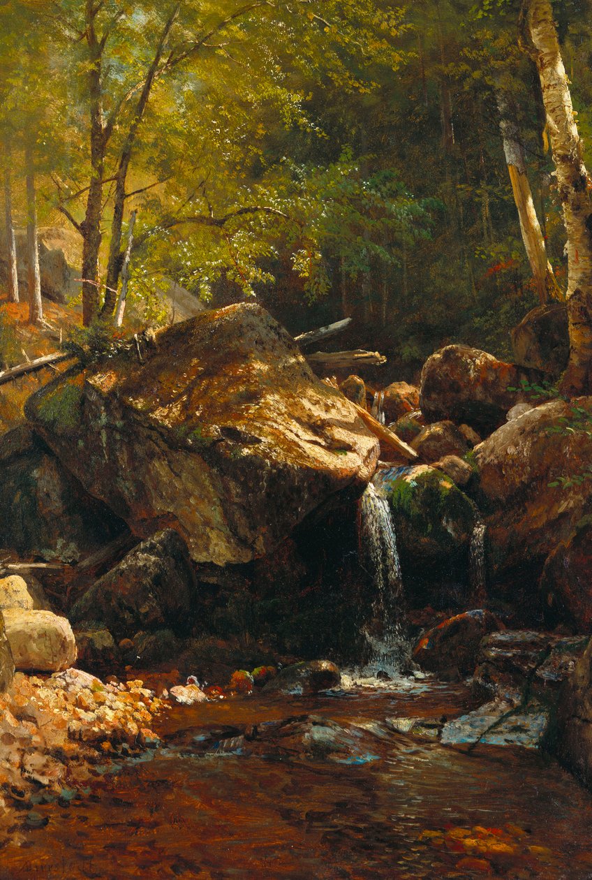 Kaskada Thompsona, Białe Góry autorstwa Albert Bierstadt