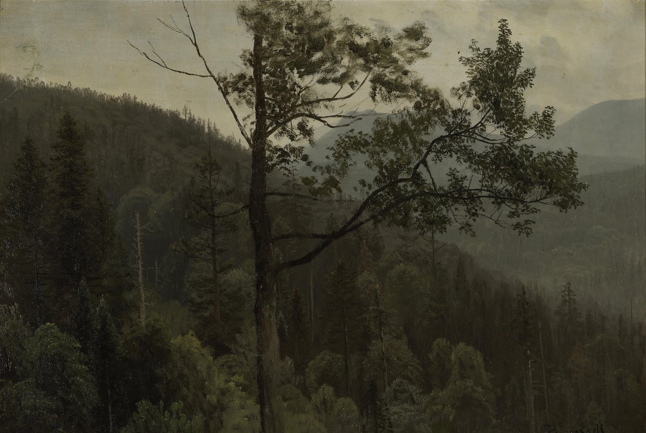 Góry pokryte drzewami autorstwa Albert Bierstadt