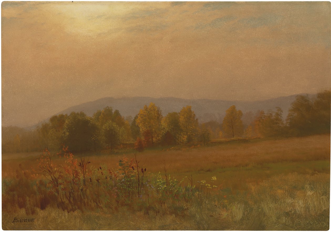 Nieznany obraz autorstwa Albert Bierstadt