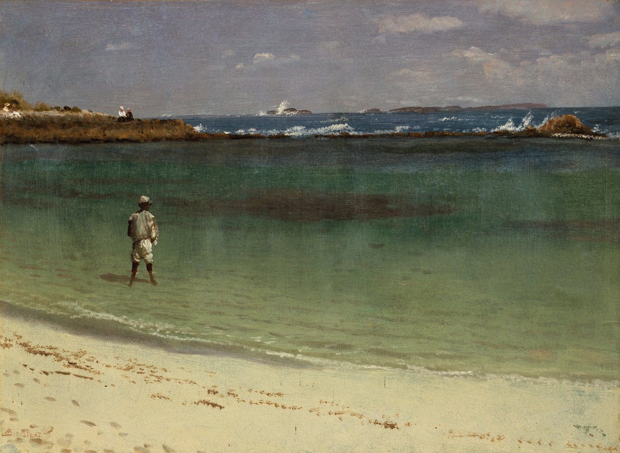 Scena z wybrzeża Indii Zachodnich, ok. 1880-93 (olej na papierze zamontowany na płycie pilśniowej) autorstwa Albert Bierstadt