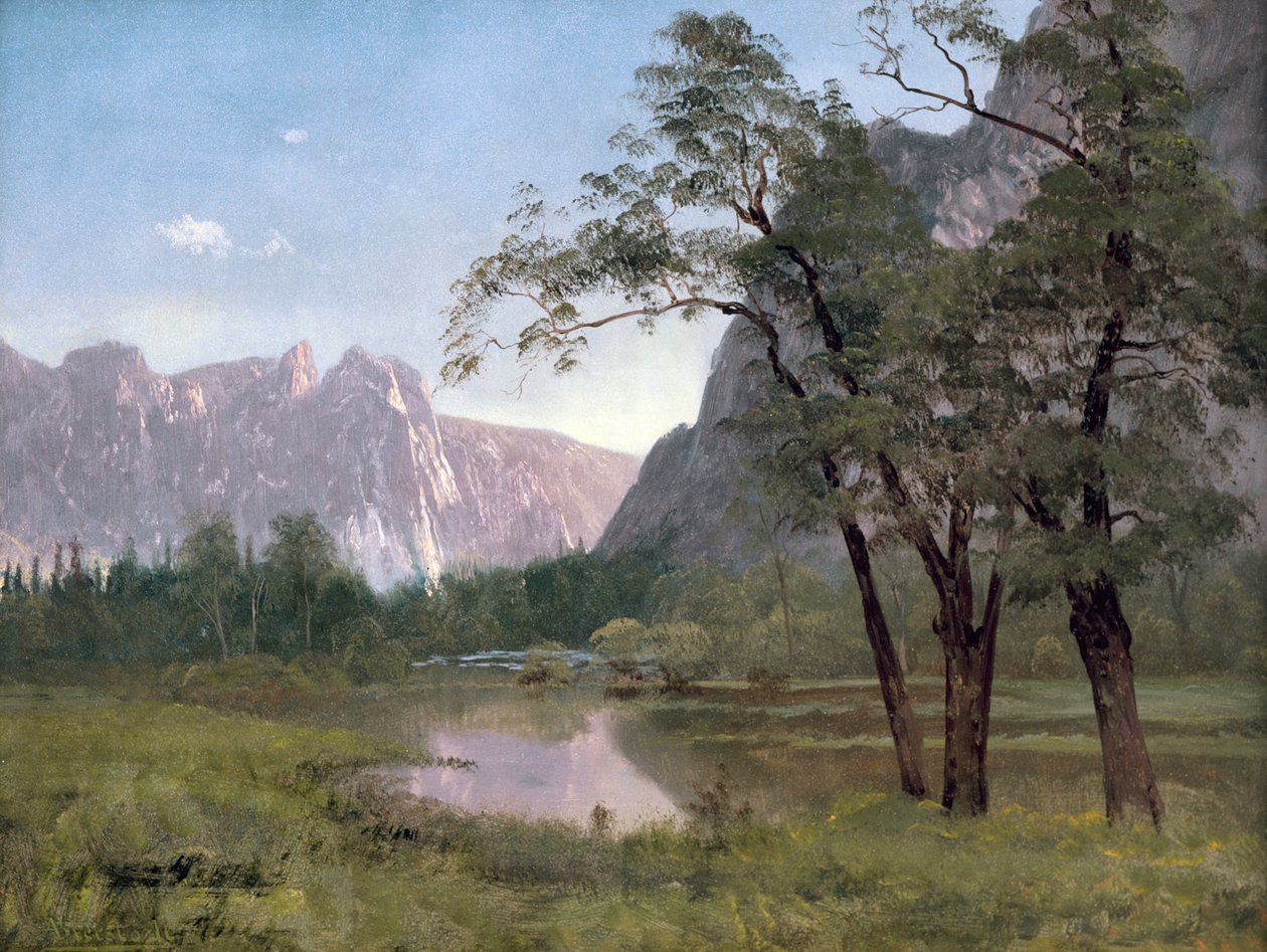 Yosemite Valley (olej na papierze nałożony na płótno) autorstwa Albert Bierstadt