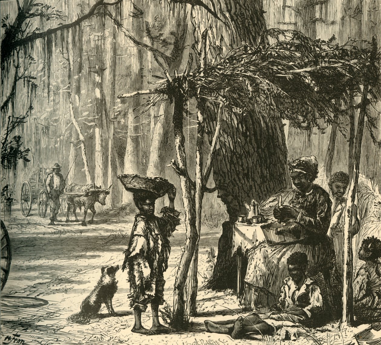 „Scena przydrożna w pobliżu Charleston”, 1872. autorstwa Albert Bobbett