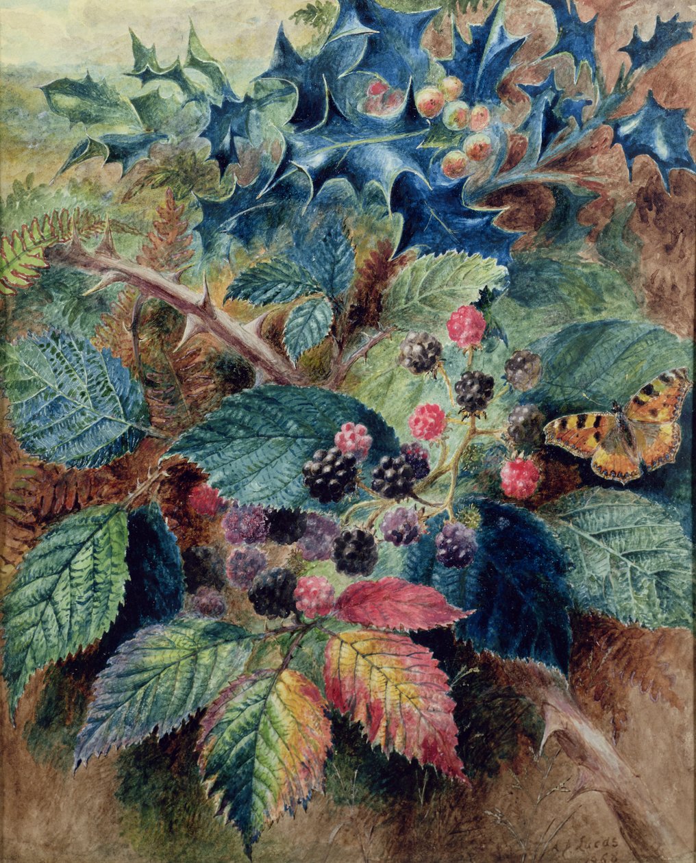 Jeżyny i ostrokrzew z motylem autorstwa Albert Durer Lucas