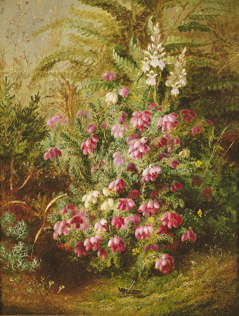 Konik polny i wrzos autorstwa Albert Durer Lucas