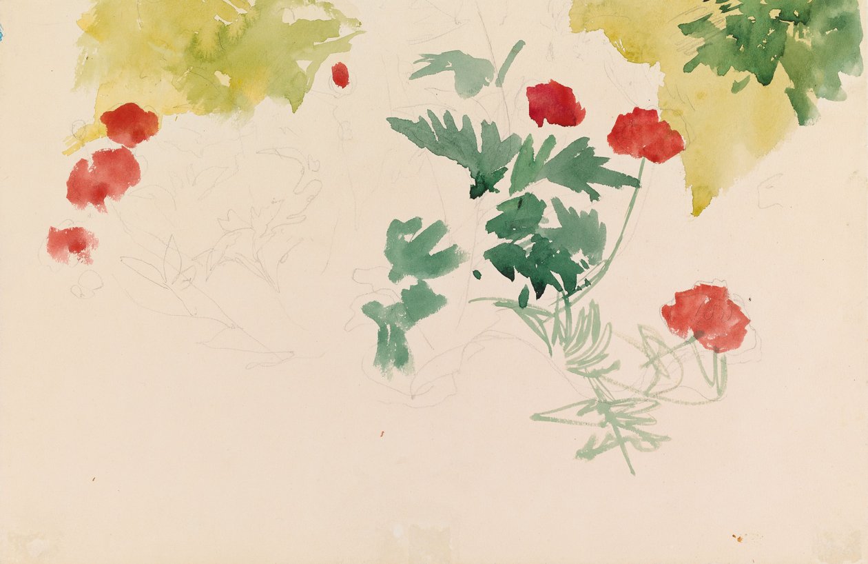 Pelargonie autorstwa Albert Edelfelt
