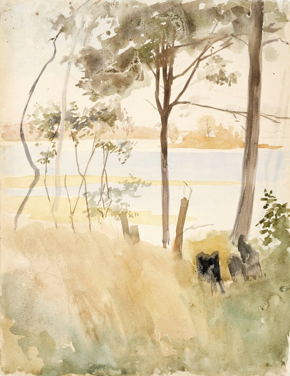 Wybrzeże w Haikko jesienią autorstwa Albert Edelfelt