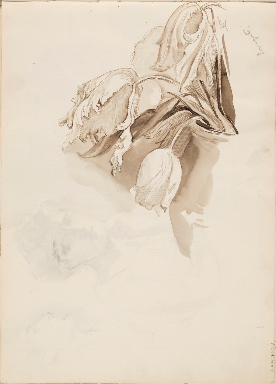 Tulipany autorstwa Albert Edelfelt
