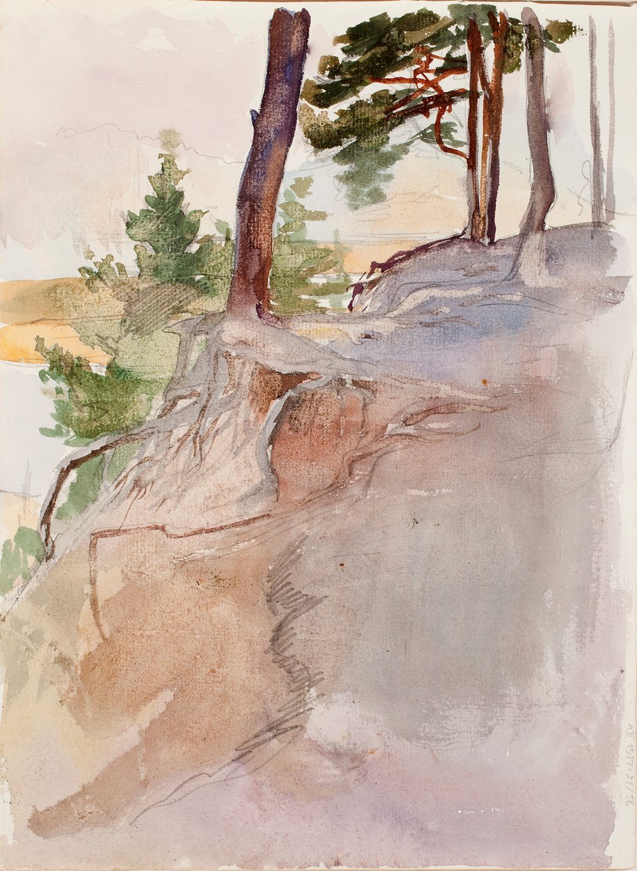 Bez tytułu autorstwa Albert Edelfelt