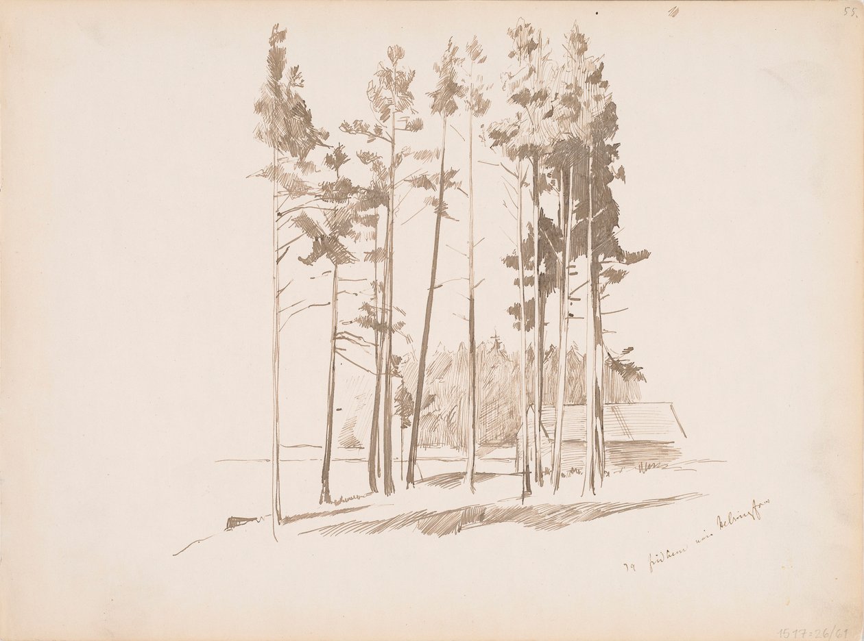 Bez tytułu autorstwa Albert Edelfelt