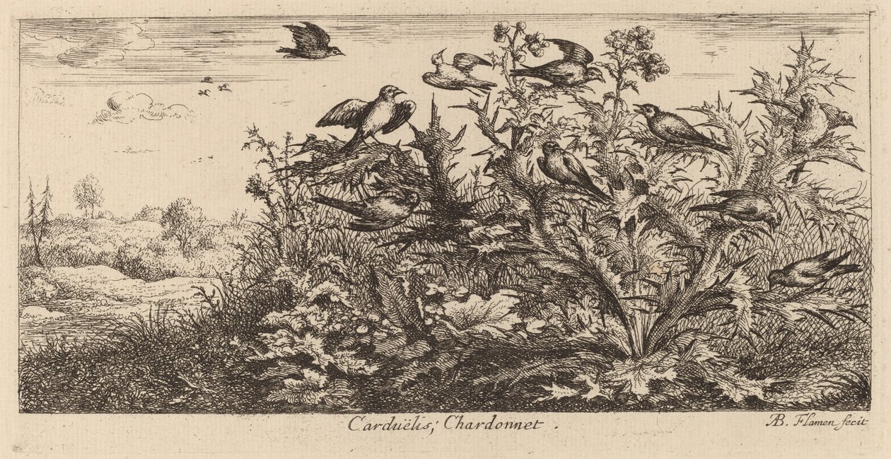 Carduelis, Szczygieł autorstwa Albert Flamen