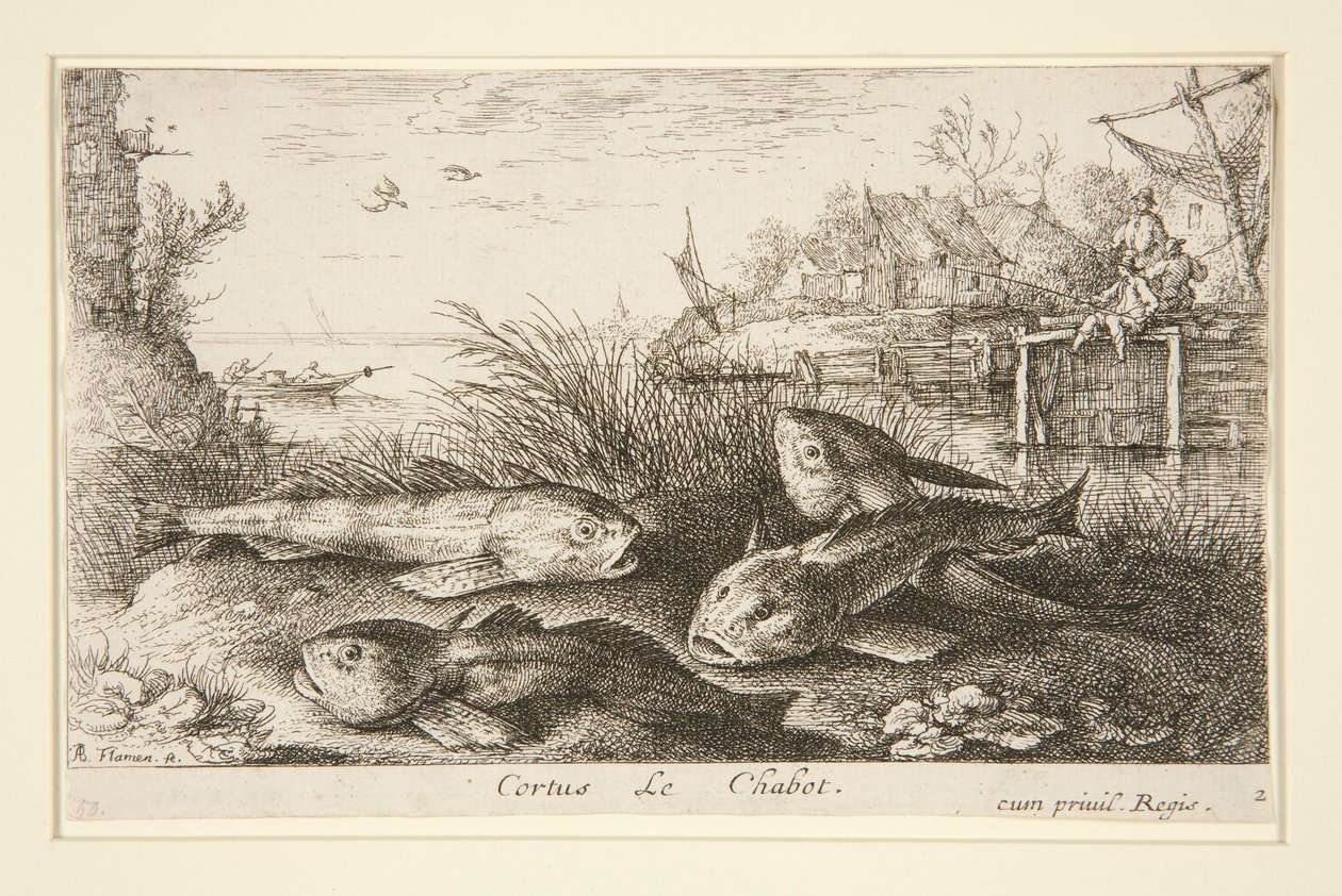 Cortus, Le Chabot autorstwa Albert Flamen