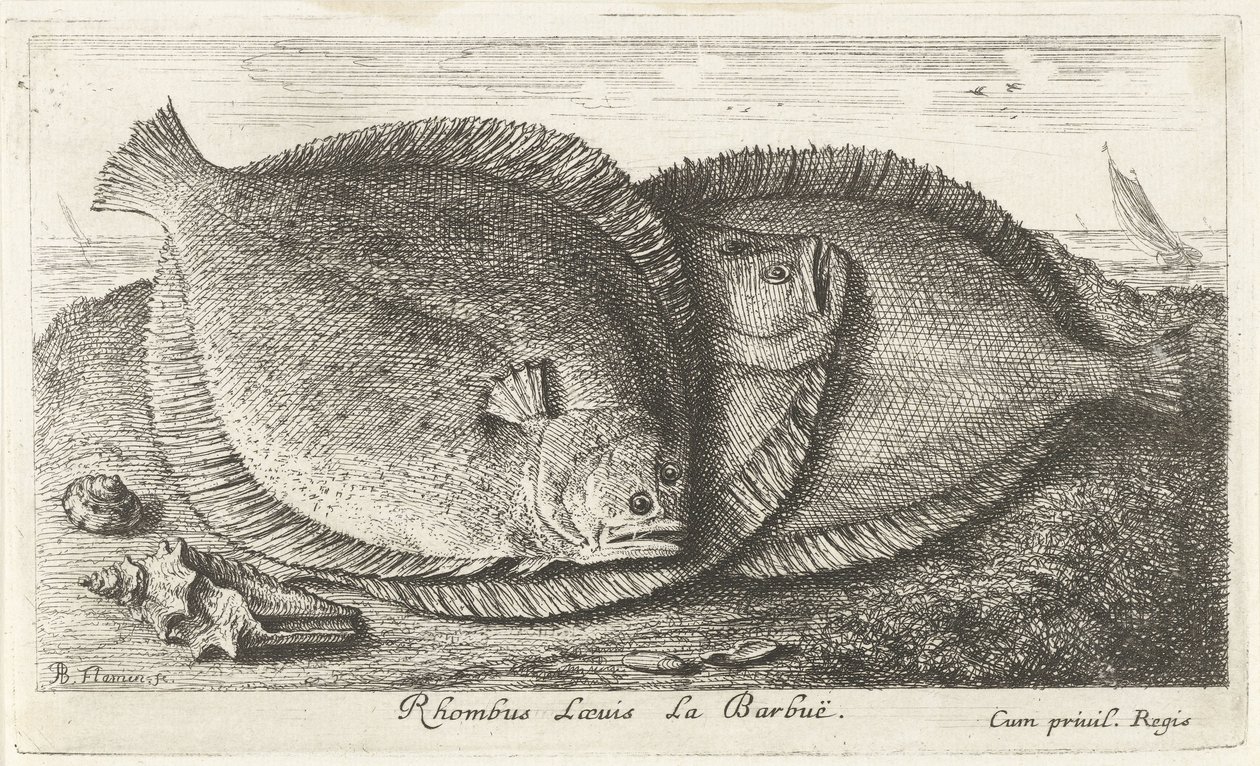 Trzy laski na plaży Rhombus Laeuis La Barbuë (tytuł na obiekcie) Ryby i inne morskie stworzenia - trzecia seria słonowodnych (tytuł serii) Poissons de mer (tytuł serii) autorstwa Albert Flamen