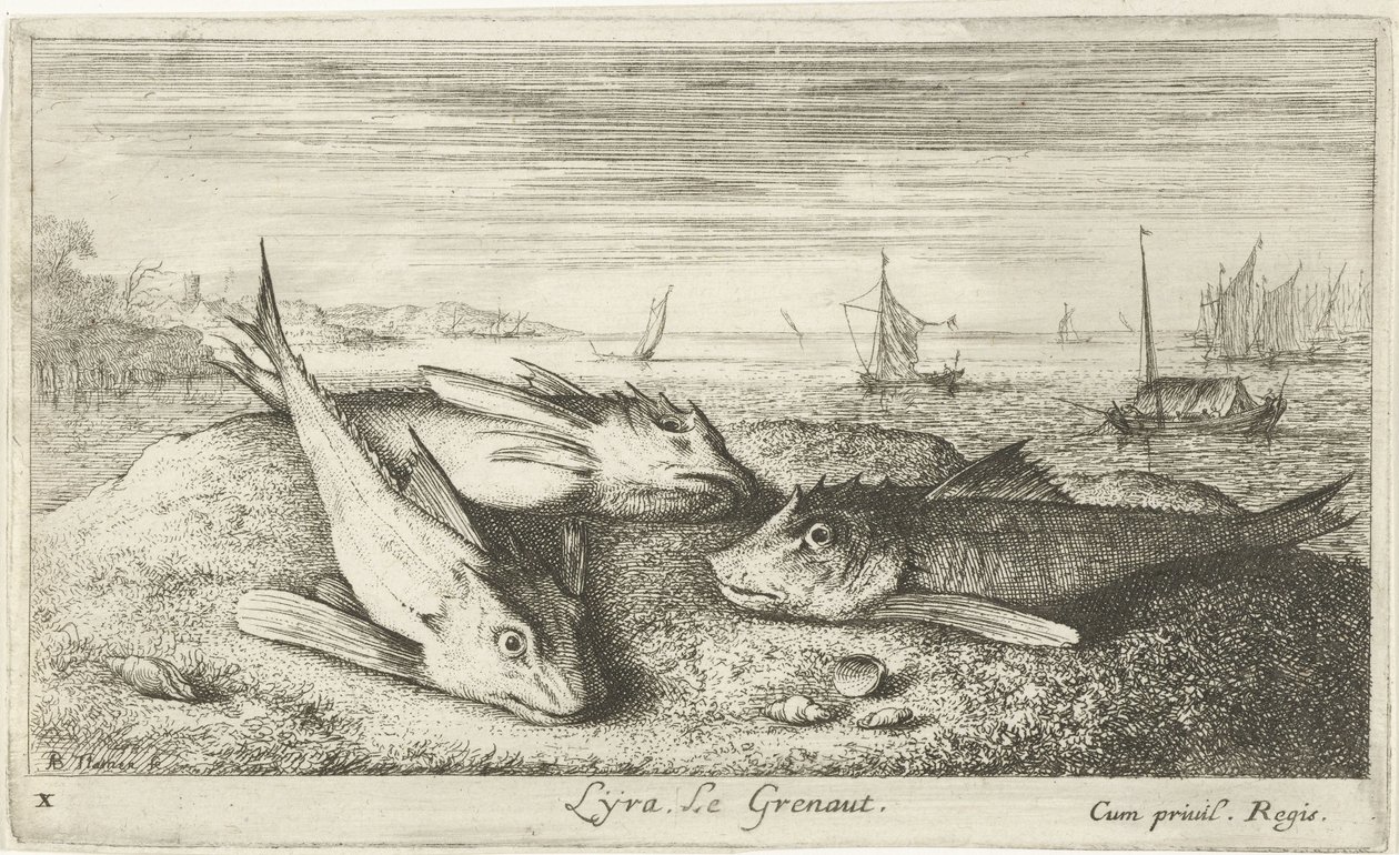 Trzy ryby morskie na plaży Łyta, Le Grenaut. (tytuł na obiekcie) Ryby i inne morskie stworzenia - pierwsza seria słonowodnych (tytuł serii) Diverse Especes de Poissons de mer (tytuł serii) autorstwa Albert Flamen