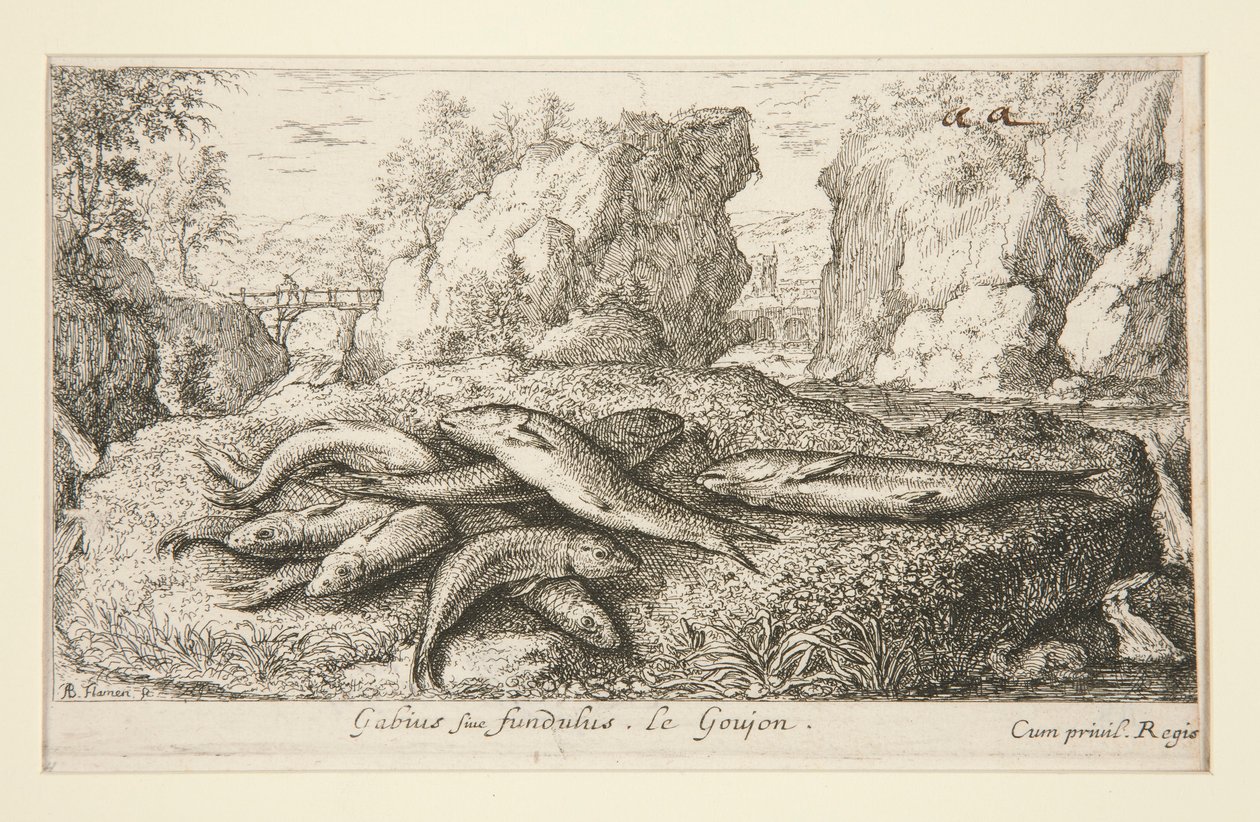 Gabius lub Fundus. Le Goujón autorstwa Albert Flamen