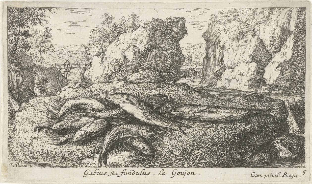 Babki na brzegu rzeki Gabius siue fundulus. Le Goujon. (tytuł na obiekcie) Ryby i inne stworzenia morskie - druga seria słodkowodna (tytuł serii) Seconde partie de Poissons d