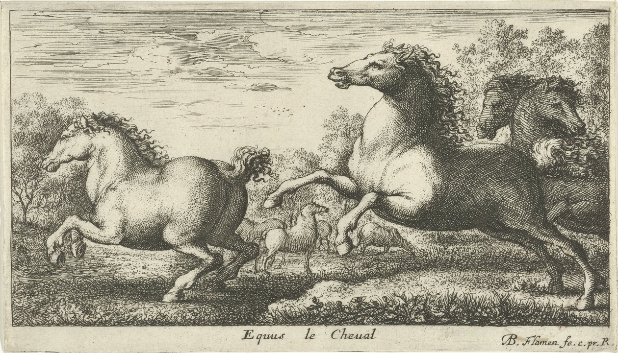 Konie Equus le Cheval (tytuł na obiekcie) Różne gatunki zwierząt (tytuł serii) autorstwa Albert Flamen