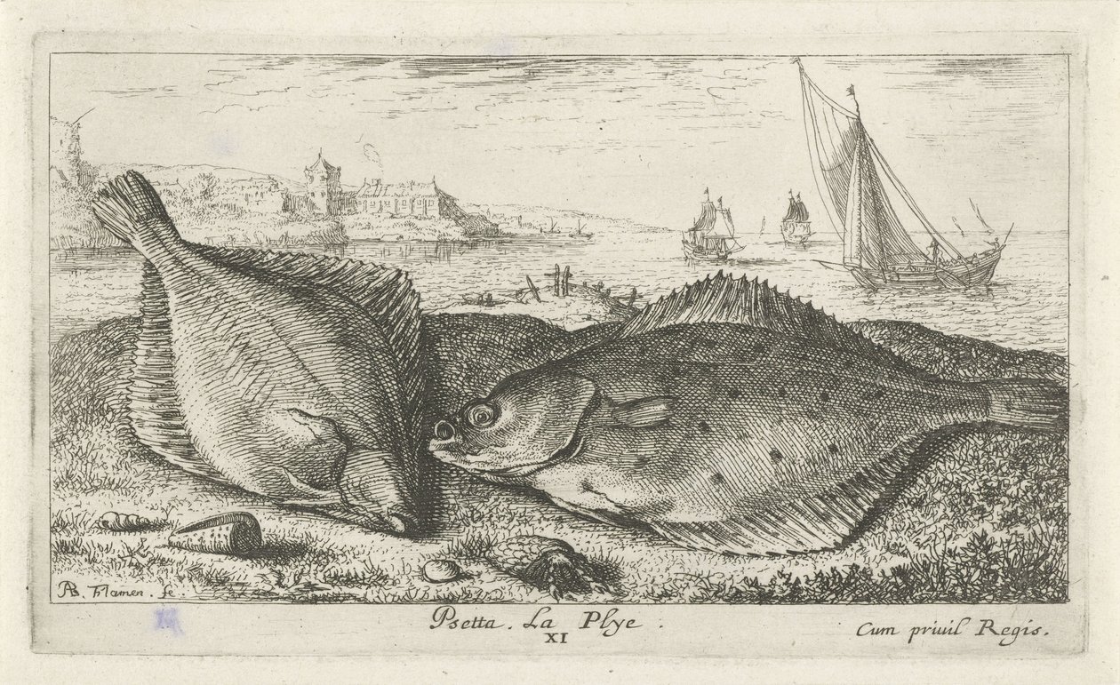 Dwie płastugi na plaży? psetta. La Plye. (tytuł na obiekcie) Ryby i inne morskie stworzenia - druga seria słonowodnych (tytuł serii) Poissons de mer (tytuł serii) autorstwa Albert Flamen
