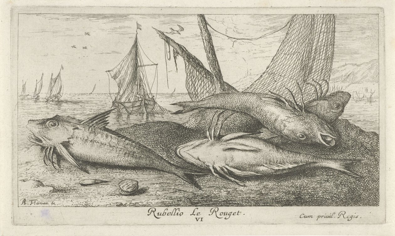 Cztery czerwone barweny na plaży Rubellio Le Rouget. (tytuł na obiekcie) Ryby i inne morskie stworzenia - druga seria słonowodnych (tytuł serii) Poissons de mer (tytuł serii) autorstwa Albert Flamen
