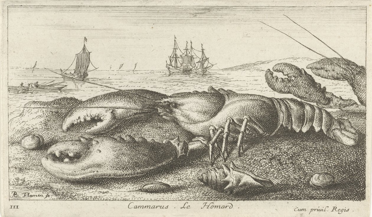 Homar na plaży? Cammarusa. LeHomard (tytuł na obiekcie) Ryby i inne morskie stworzenia - pierwsza seria słonowodnych (tytuł serii) Diverse Especes de Poissons de mer (tytuł serii) autorstwa Albert Flamen