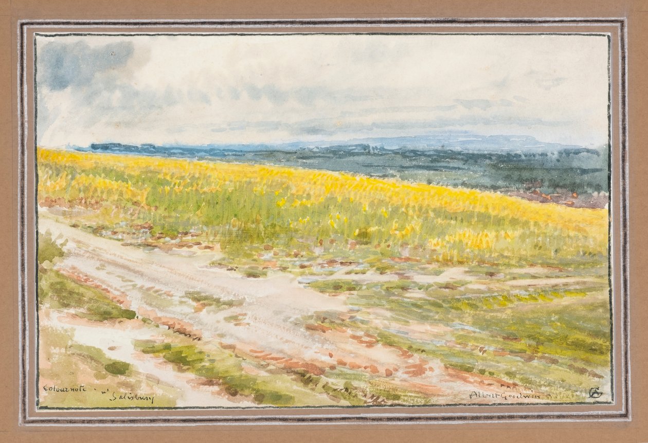 Kolorowa notatka nr Salisbury (akwarela) autorstwa Albert Goodwin