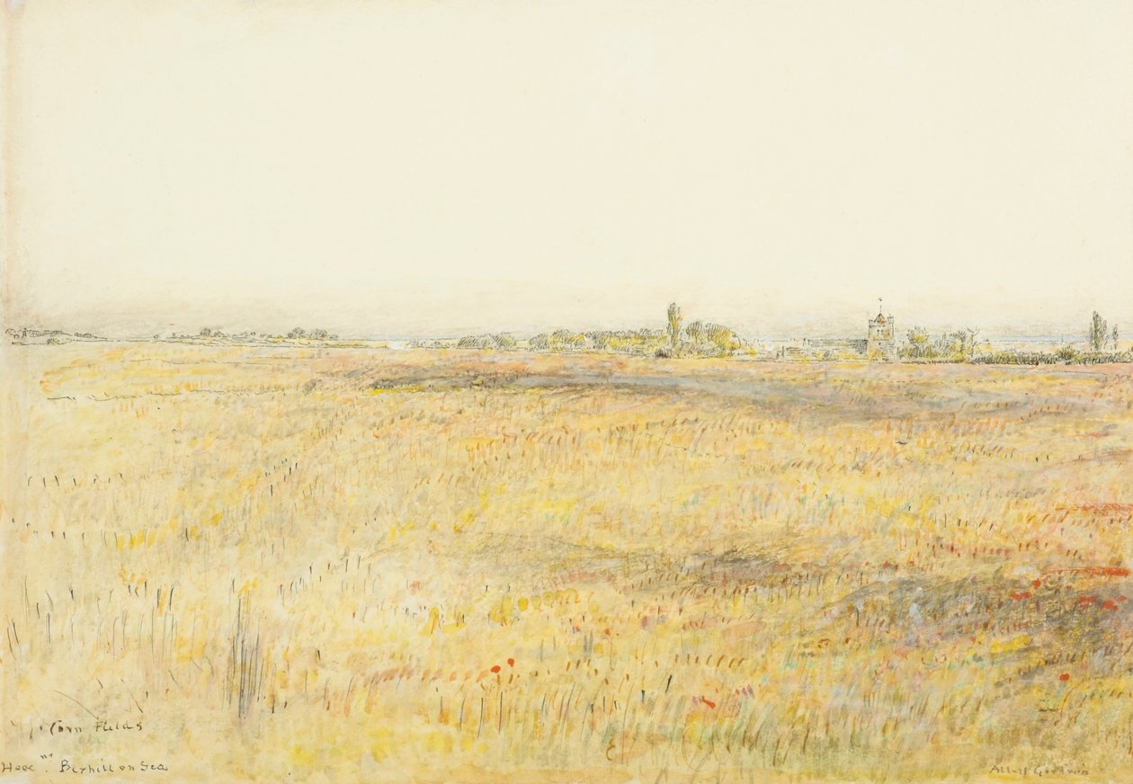 Pola kukurydzy, Hooe. Bexhill nad morzem (akwarela z tuszem) autorstwa Albert Goodwin