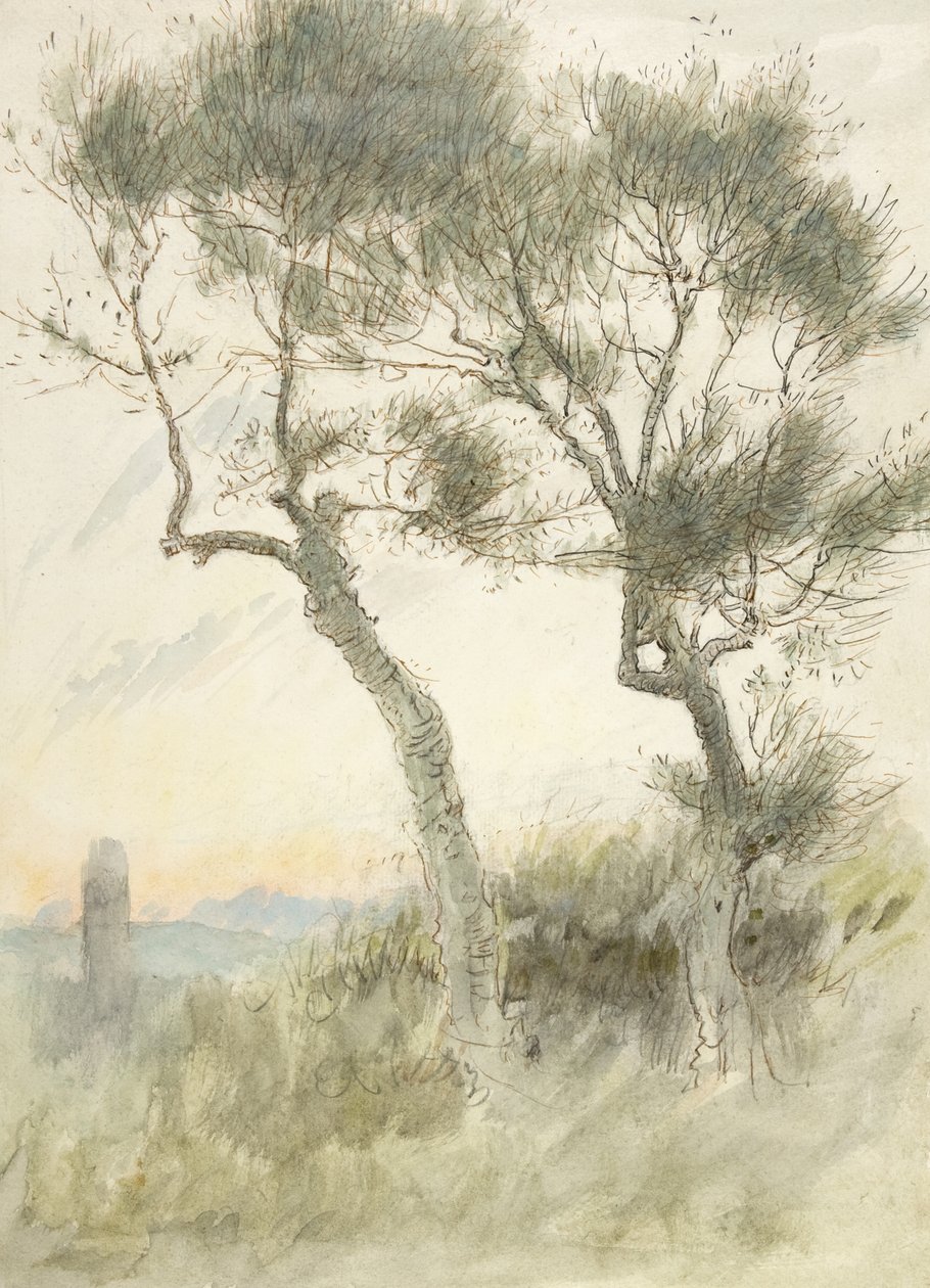 Studium dwóch drzew autorstwa Albert Goodwin