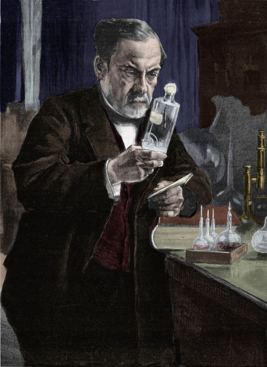 Portret Louisa Pasteura (1822-1895), francuskiego chemika i biologa. Z obrazu Aristide Alberta Gustafa Edelfelta (1854-1905) z Musee d