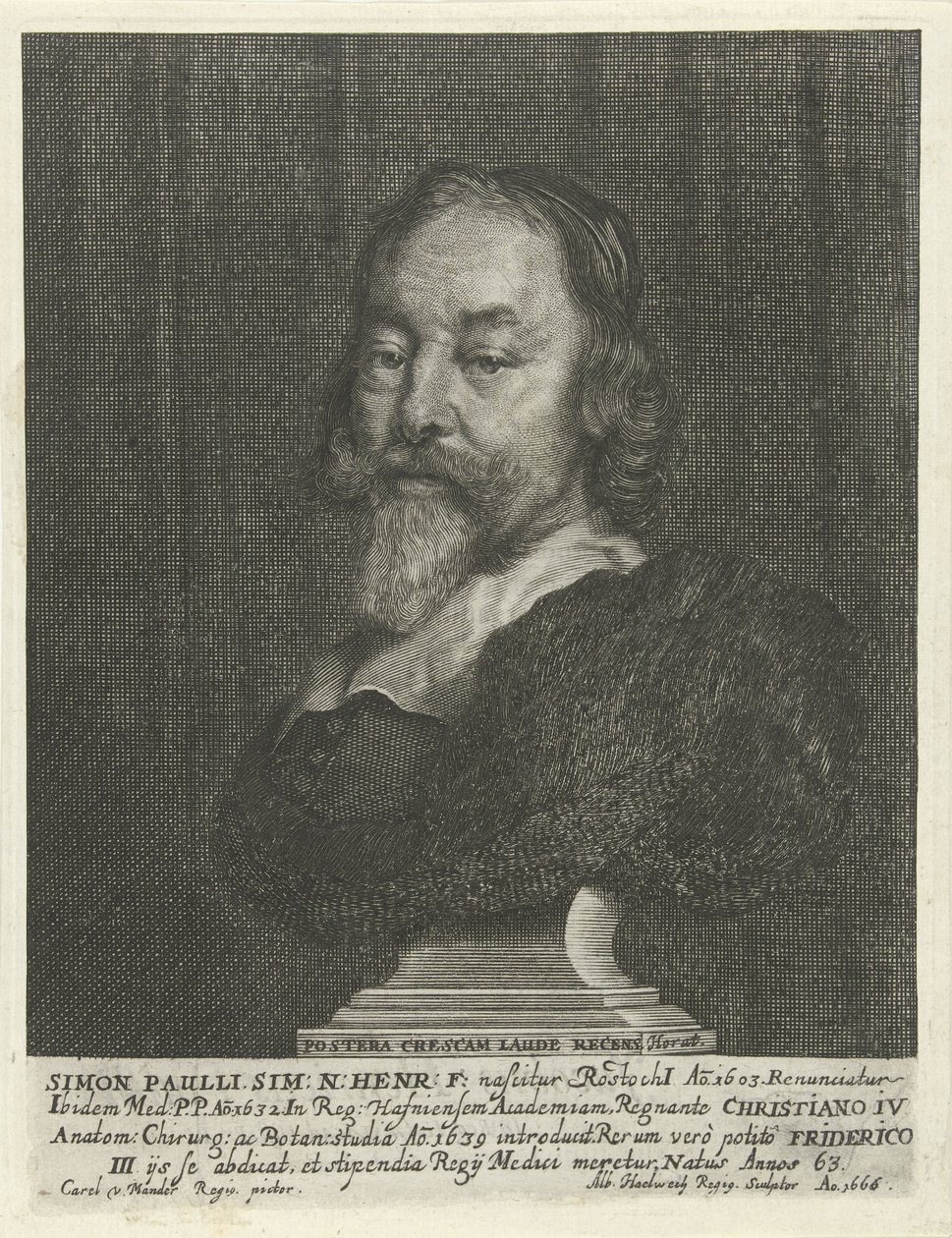 Buste van Simon Paulli autorstwa Albert Haelwegh
