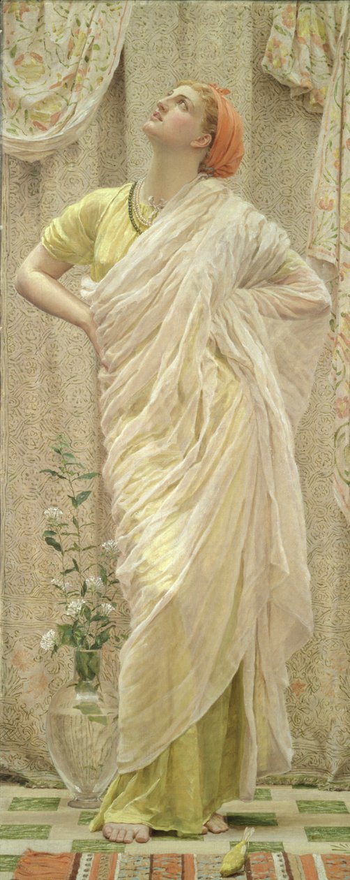 Ptaki autorstwa Albert Joseph Moore
