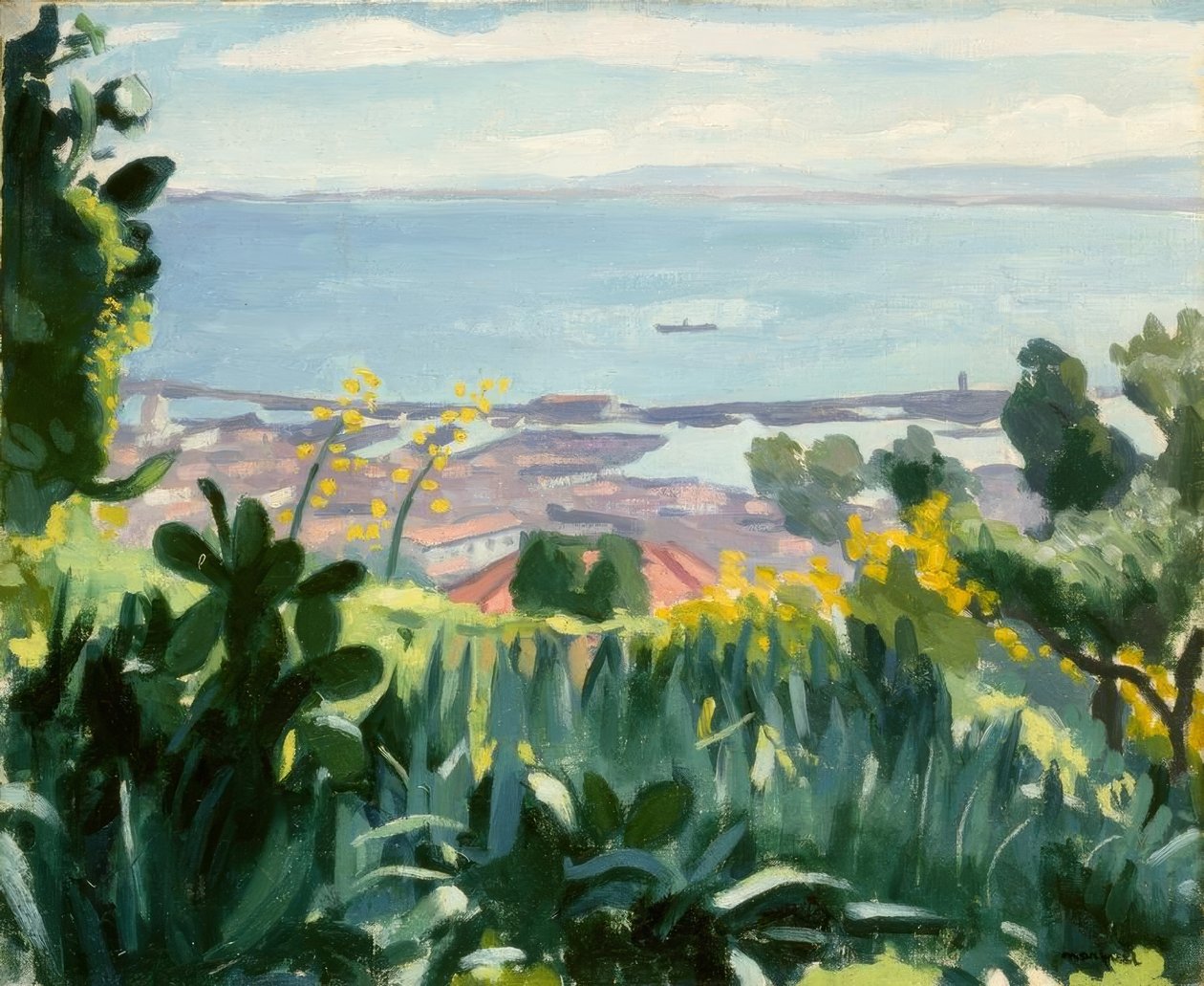 Algier - Widok z wysokości Mustapha autorstwa Albert Marquet