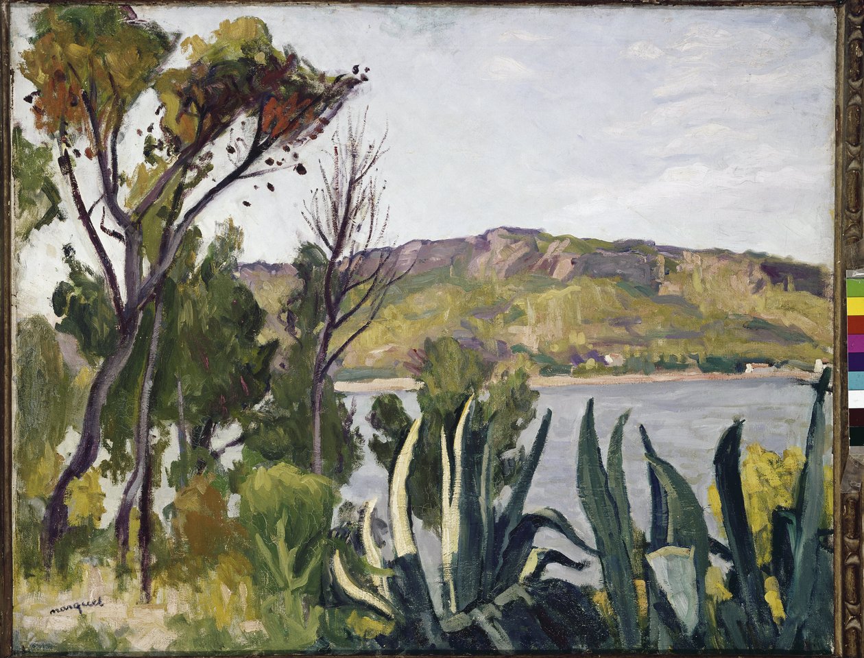 Krajobraz z agawą. (olej na płótnie autorstwa Albert Marquet