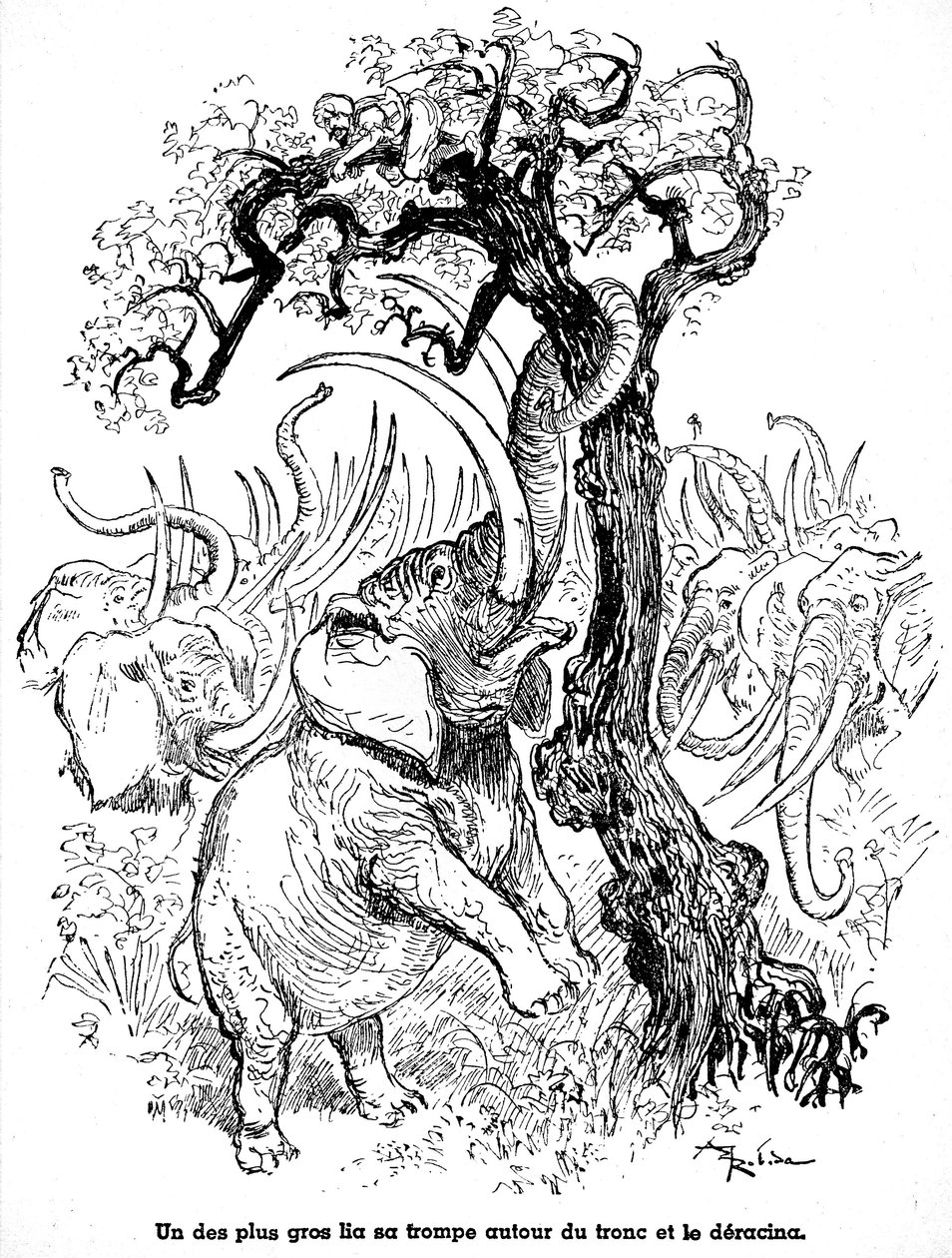 Żeglarz Sindbad (Sinbad) - Opowieść o tysiącu i jednej (1001) nocy - ilustracja książki z 1948 roku (wydanie Fortin, kolekcja Wonderful Imaging z dzieciństwa) opowiadającej o jego przygodach - ilustracja Alberta Robidy (1848 - 1926) - Siódma podróż : A autorstwa Albert Robida