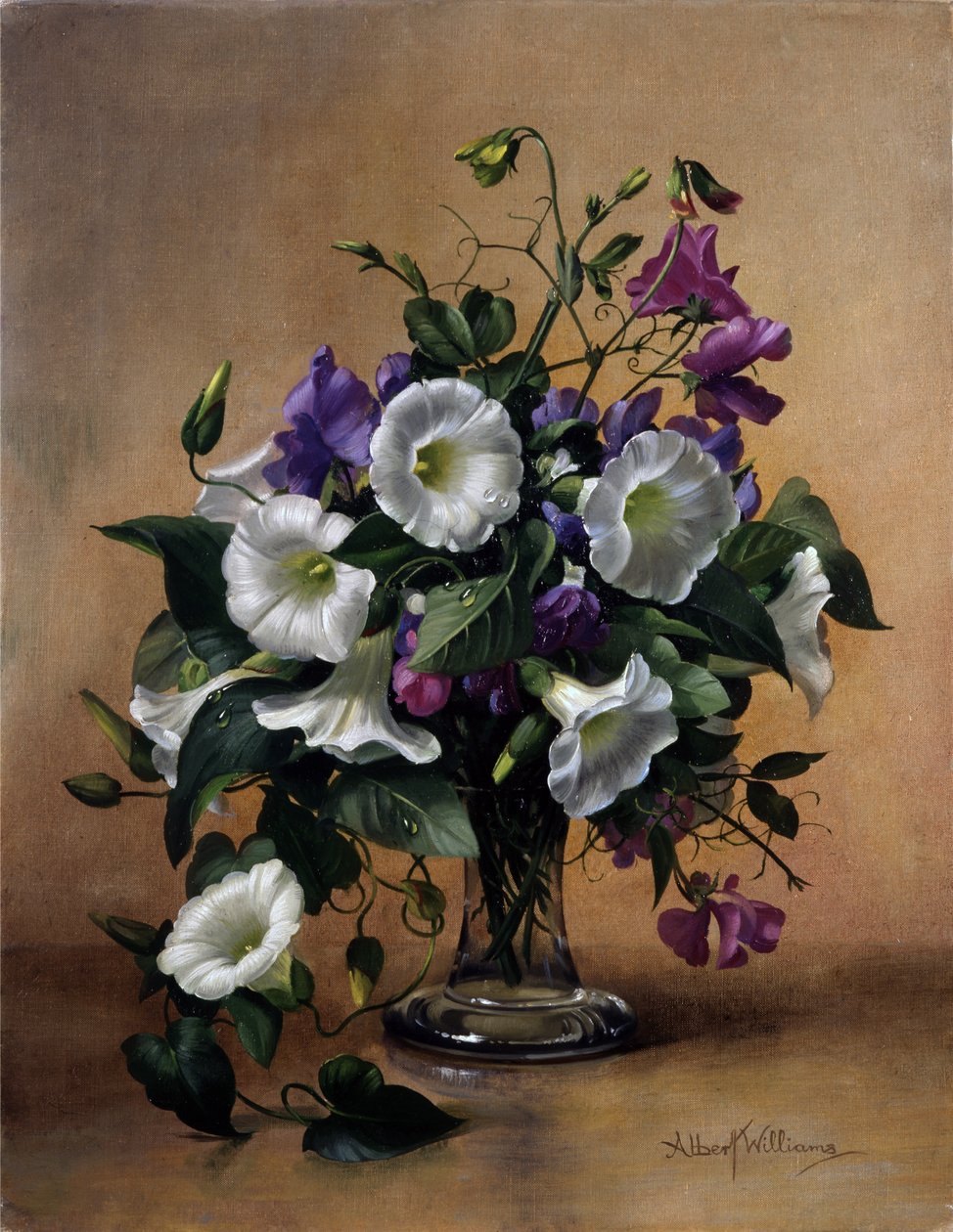  autorstwa Albert Williams