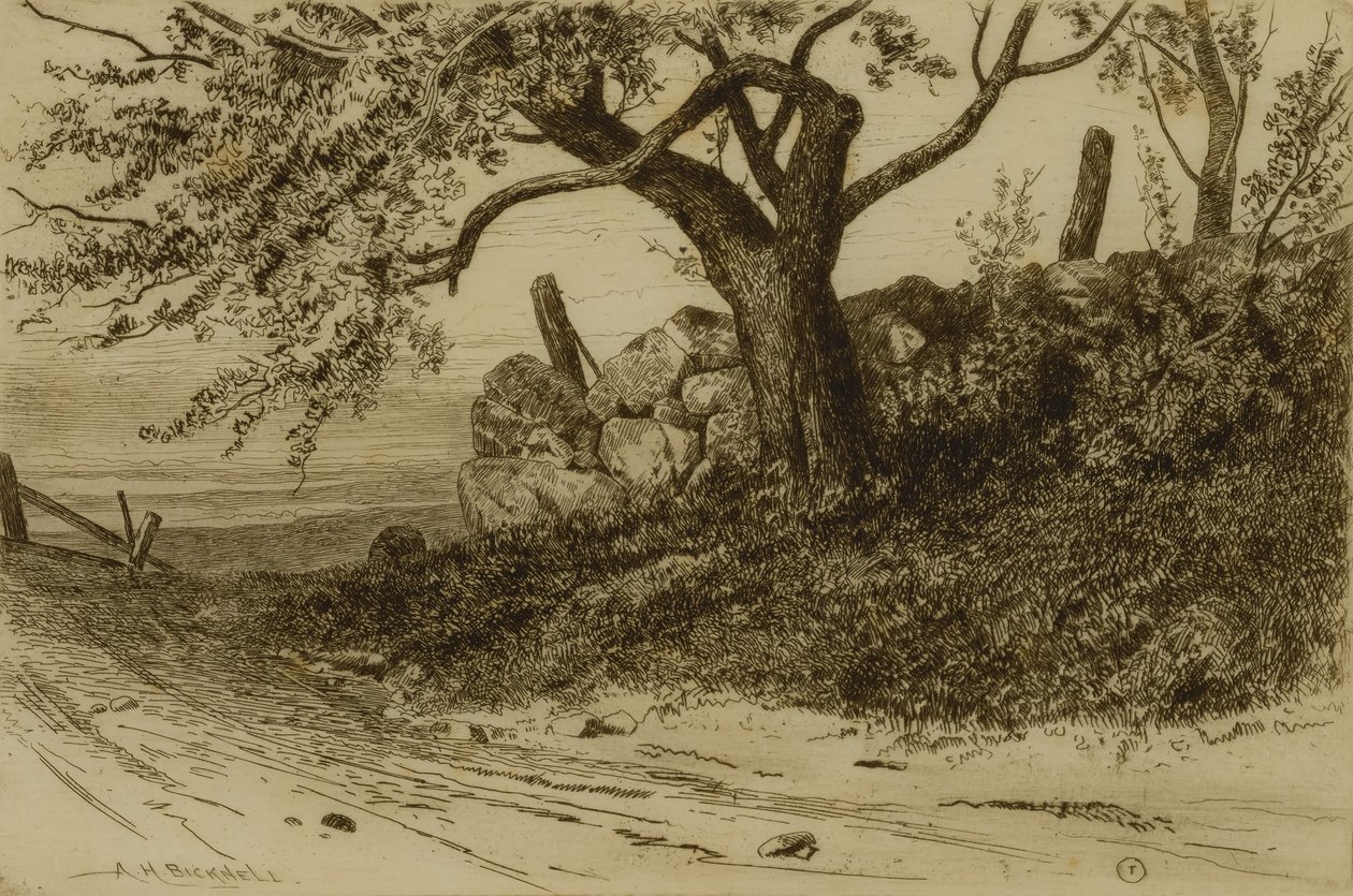 Country Road autorstwa Albion Harris Bicknell