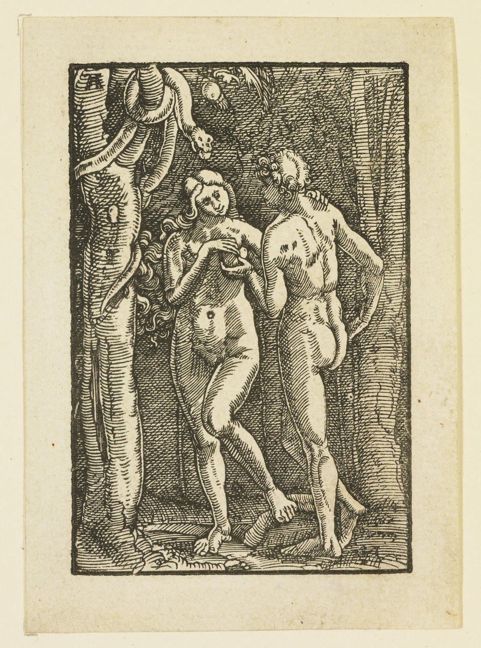 Adam i Ewa jedzący zakazany owoc, ok. 1513 r. autorstwa Albrecht Altdorfer