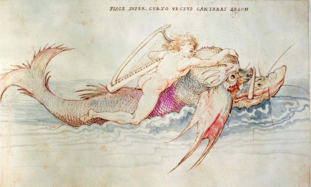 Arion zostaje uratowany przez delfina autorstwa Albrecht Dürer