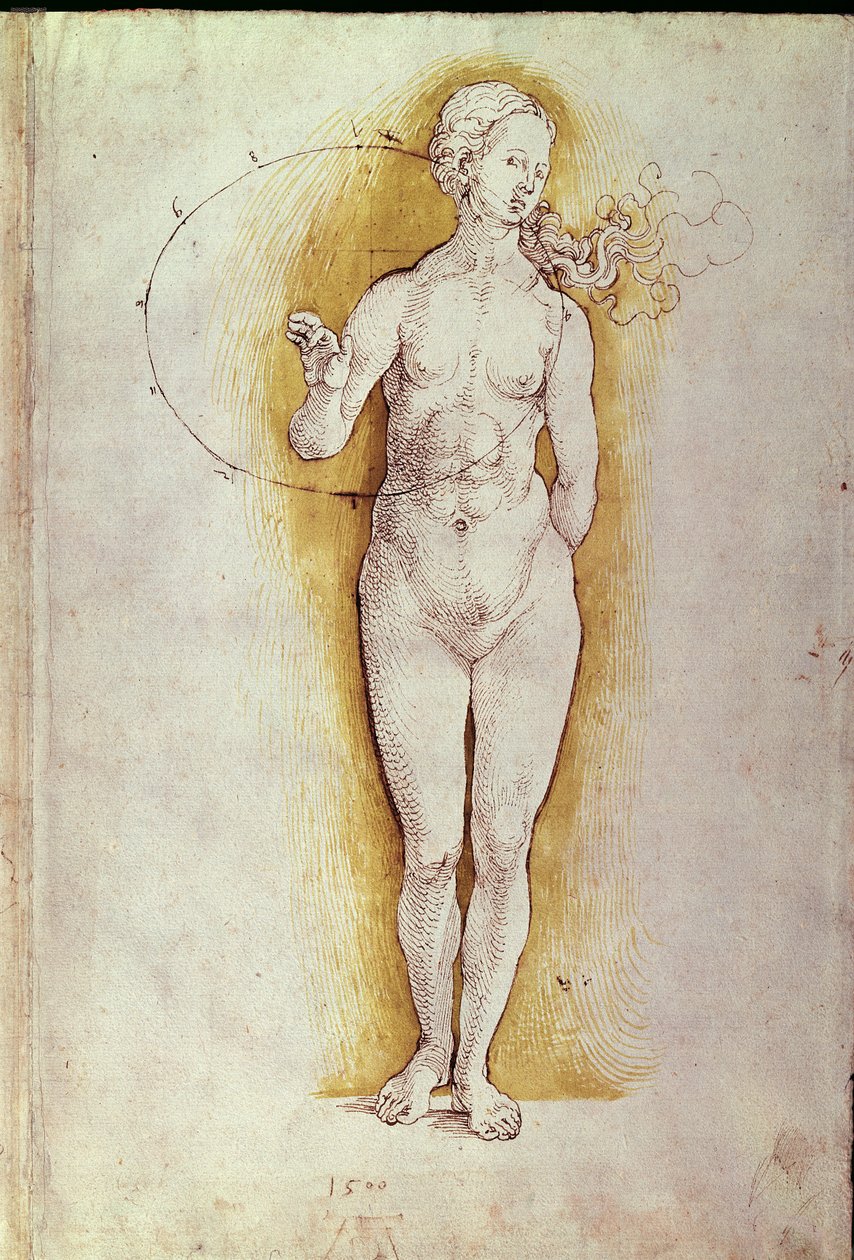 Akt kobiecy (pióro i tusz na papierze) autorstwa Albrecht Dürer