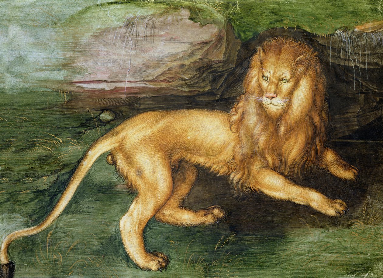 Lew autorstwa Albrecht Dürer