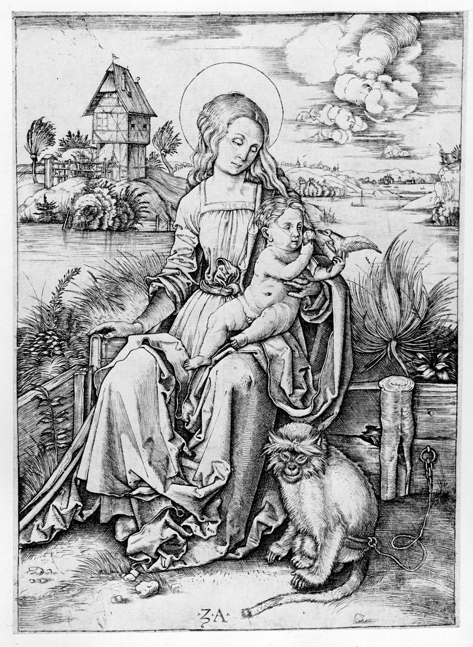 Madonna z małpą autorstwa Albrecht Dürer